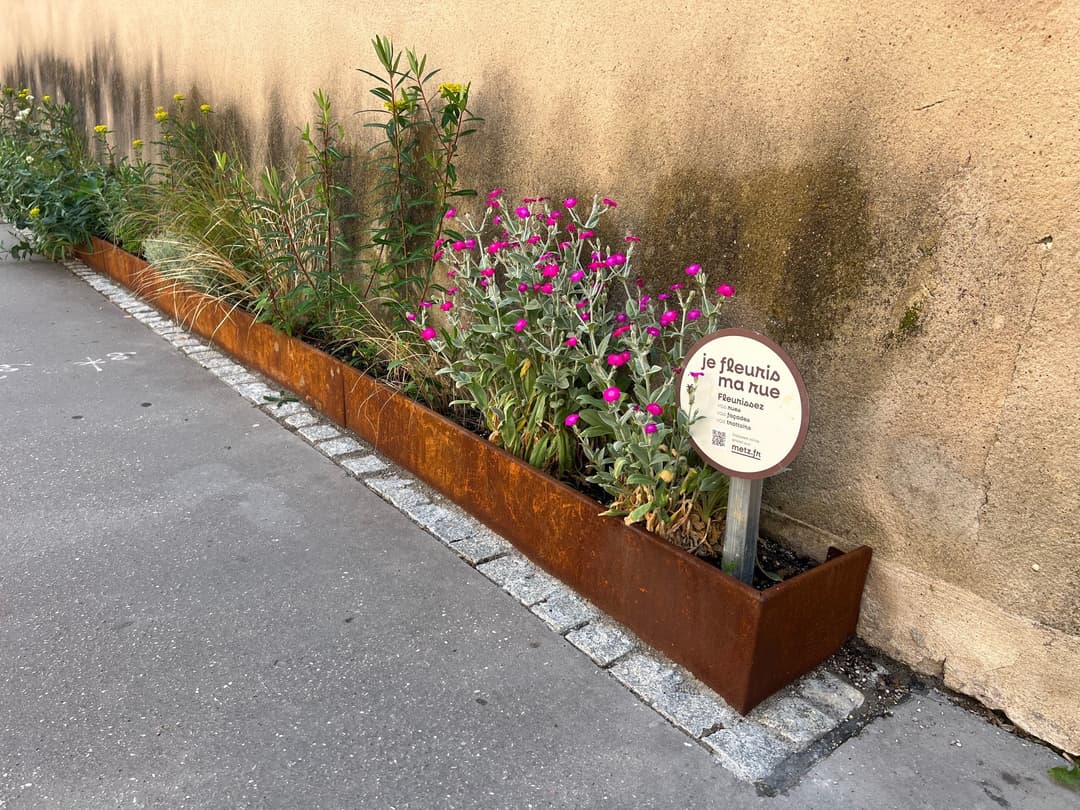 Jardinières en acier Corten